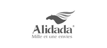 Alidada conception marque logotype Pamiers Toulouse Limoux